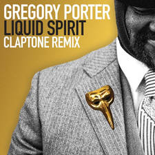 Liquid Spirit (Claptone Remix) artwork