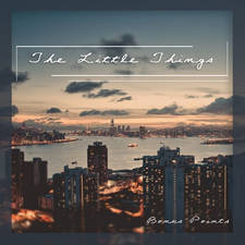 The Little Things artwork