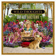Wild Thoughts artwork
