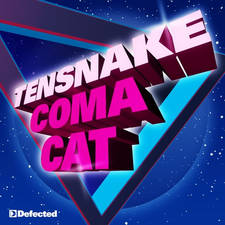 Coma Cat artwork