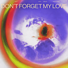 Don't Forget My Love (Higgo Remix) artwork