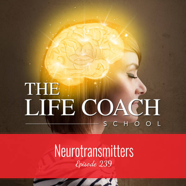 Ep #239: Neurotransmitters