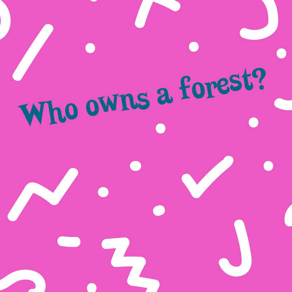 Who owns a forest?