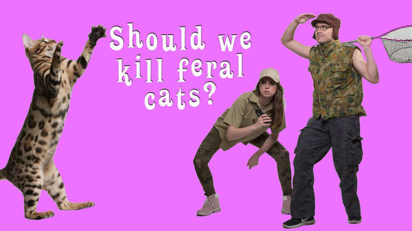 Carl's PICK — Should we kill feral cats?