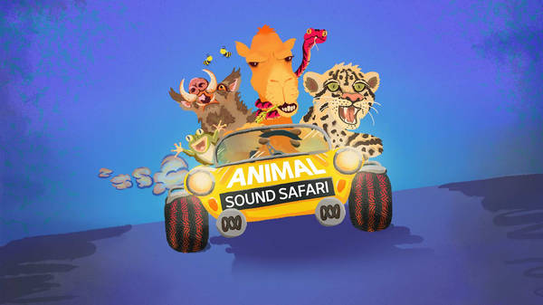 INTRODUCING — Animal Sound Safari Series 2
