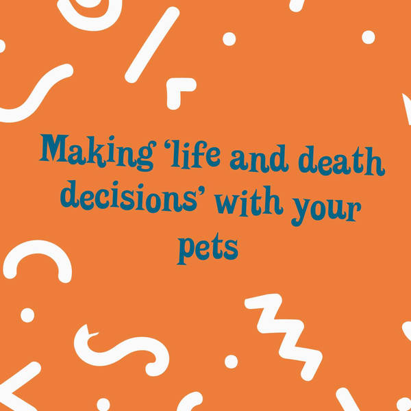 Making "life and death" decisions for your pet