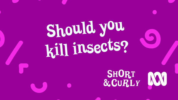 Should you kill insects?