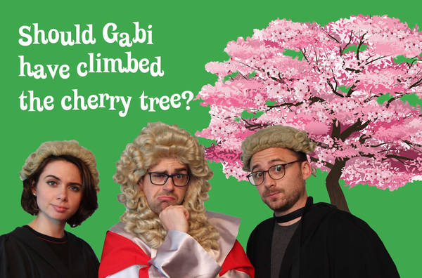 Should Gabi have climbed the cherry blossom tree?