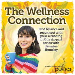 The Wellness Connection image