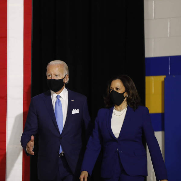 What Would A Biden-Harris Administration Look Like?