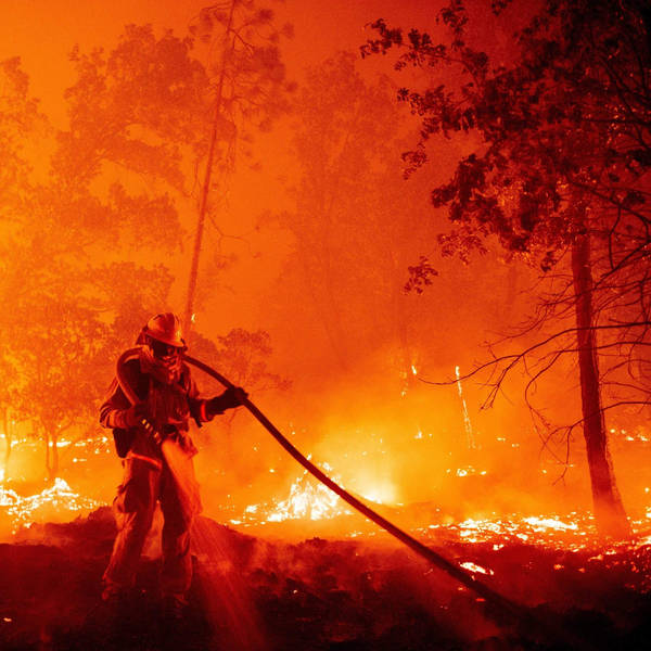 What's Driving California's Biggest-Ever Wildfire Season