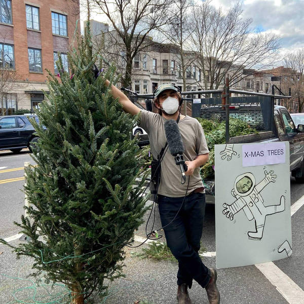 BONUS: We Buy A Lot Of Christmas Trees