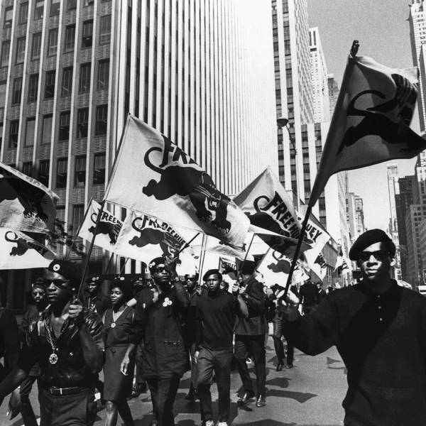 The Real Black Panthers