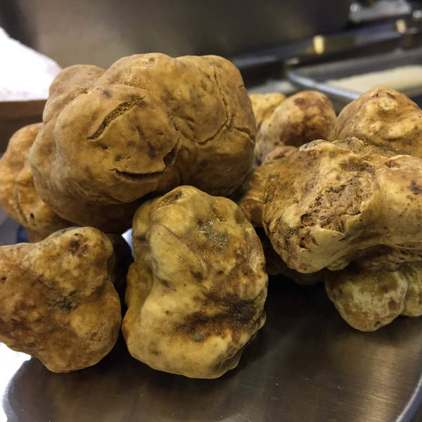 A trunk full of truffles (Update)