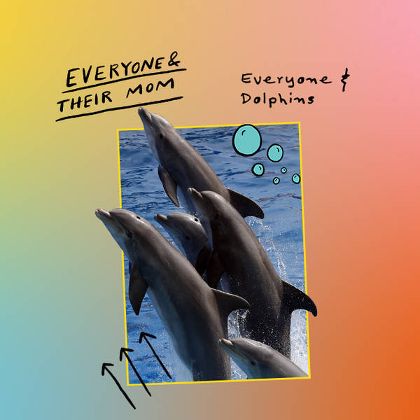 Everyone & Dolphins