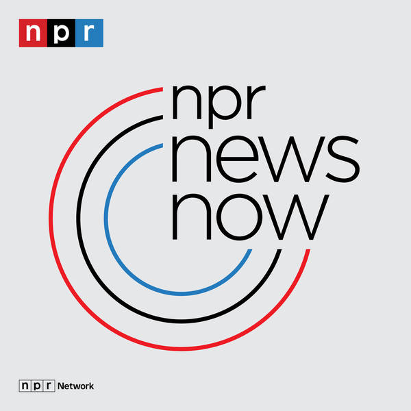 NPR News Now image