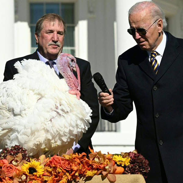 Spare A Thought For Sparing Turkeys?