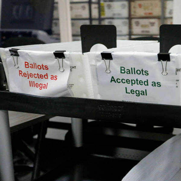 Florida Election Workers Warn Chaos Is Coming Without Reform