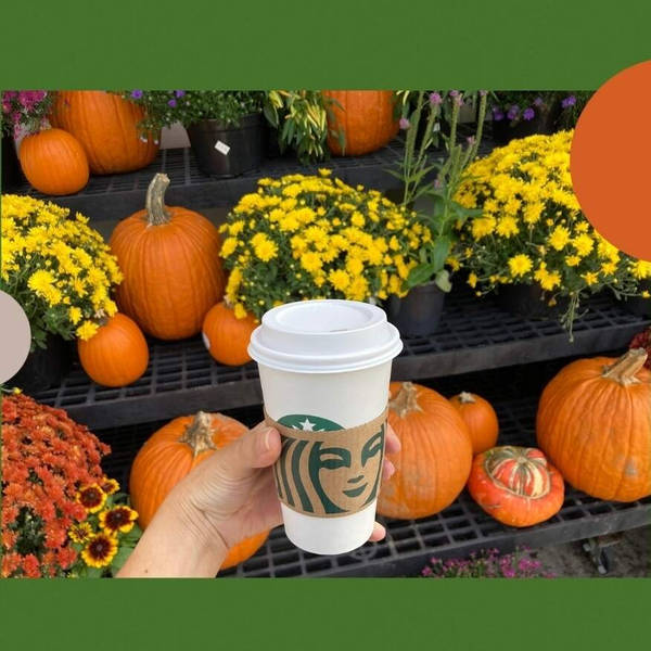 20 years of pumpkin spice power