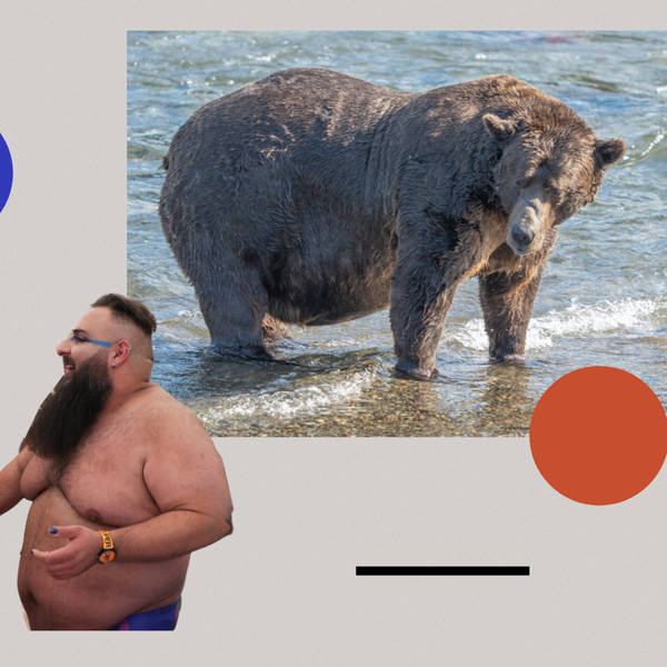 It's Fat Bear Week - but our fascination with bears is timeless