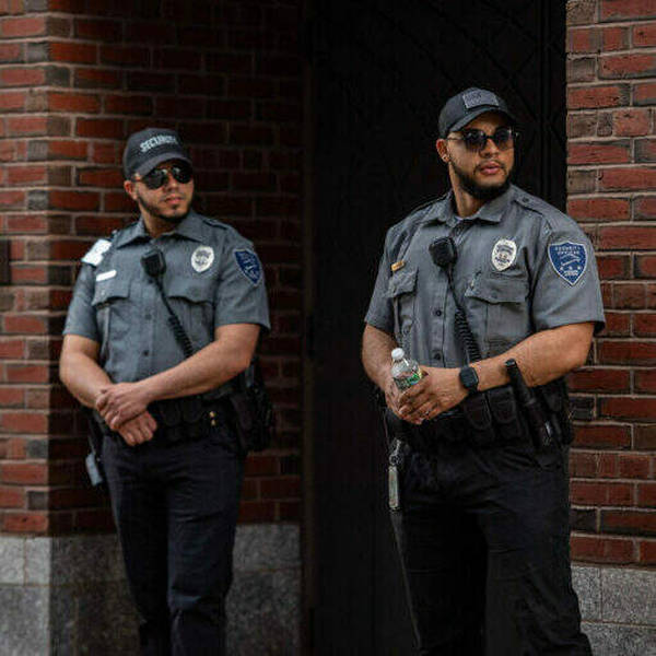 What Happens When Private Security Patrols Public Streets?