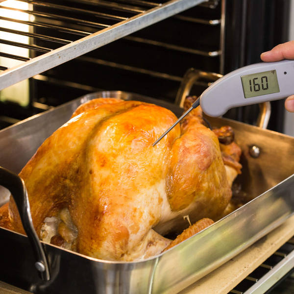 A beginner's guide to roasting a Thanksgiving turkey