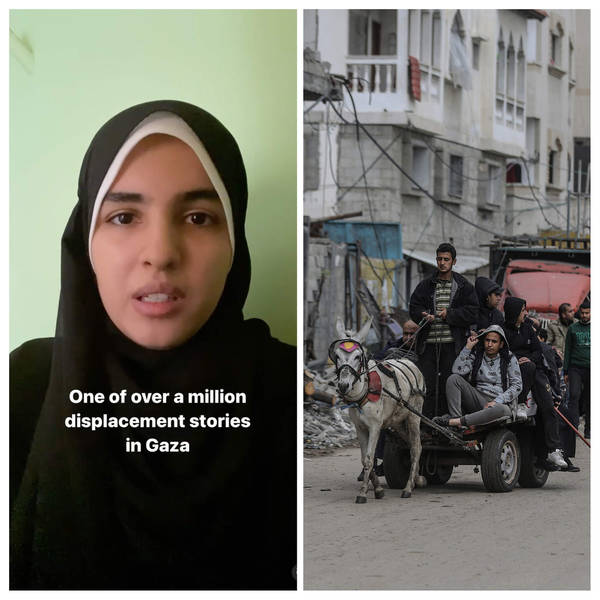 The Sunday Story: Losing the Gaza They Knew