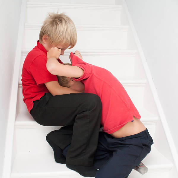 #5: How to Stop Sibling Rivalry & Fighting