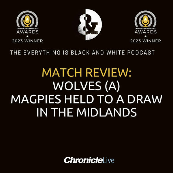 WOLVES 2-2 NEWCASTLE UNITED |  WOLVES FIGHT BACK FROM BEHIND TWICE TO FRUSTRATE NEWCASTLE