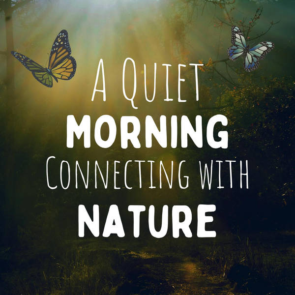 A Quiet Morning Connecting with Nature