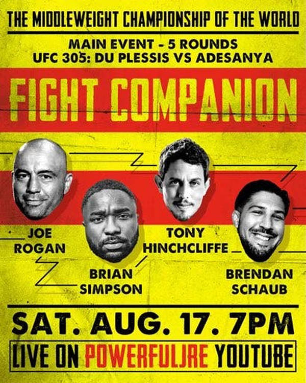 Fight Companion - August 17, 2024