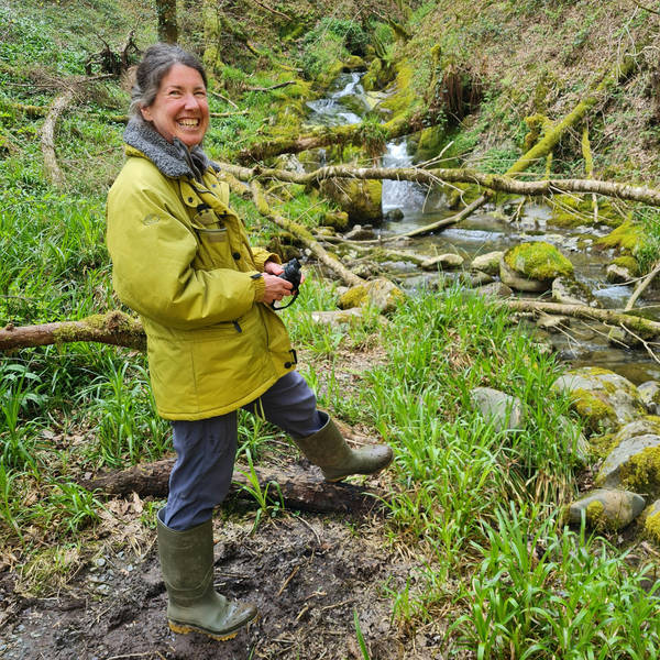 249. Welsh language and landscape with Julie Brominicks