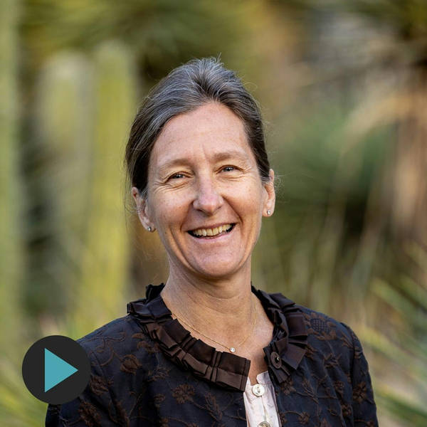 Stanford Psychiatrist and Addiction Expert Anna Lembke - The New Neuroscience of Pleasure, Pain, and Balance