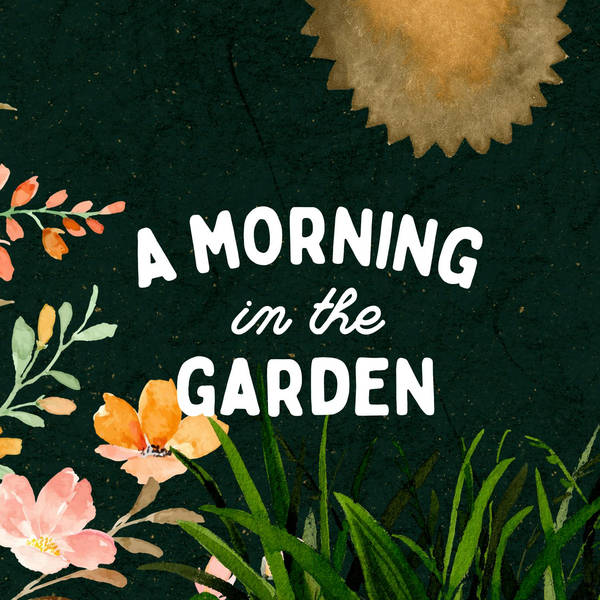 A Morning in the Garden