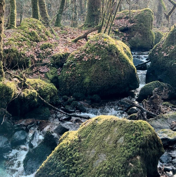 Sound Escape 106: Relax in the sun beside a beside a Dartmoor stream