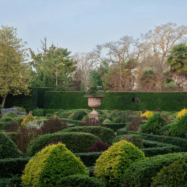 Topiary, lilacs and Chelsea judging