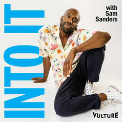 Into It: A Vulture Podcast with Sam Sanders image