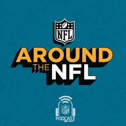 Around the NFL image