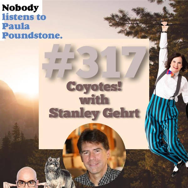 Ep 317 - Coyotes! with Stanley Gehrt