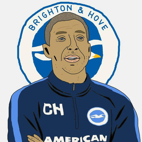 What's Going On At Brighton & Hove Albion?
