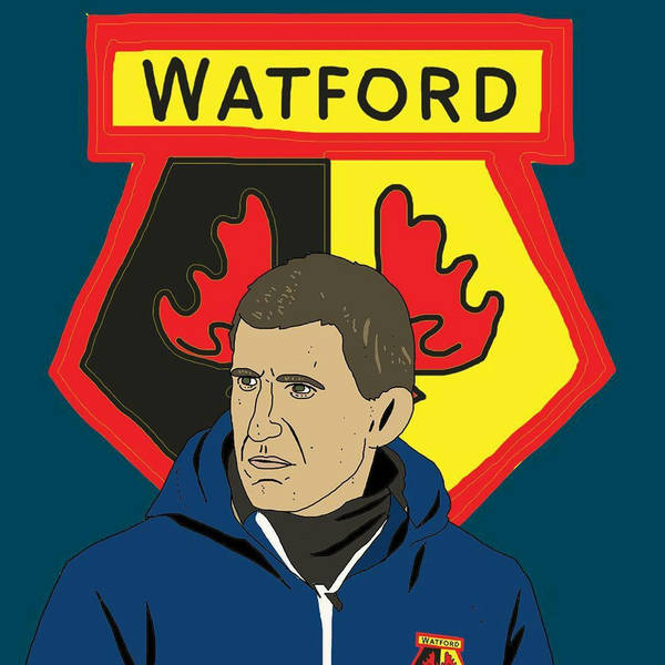 What's Going On At Watford?