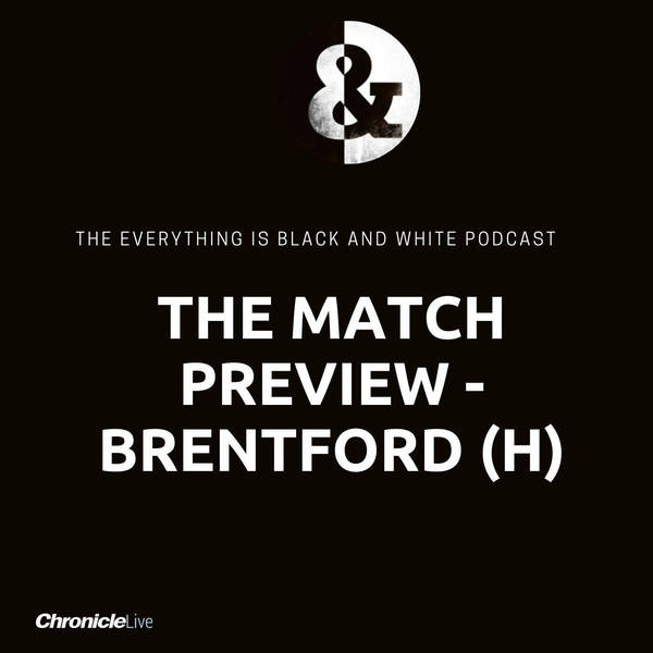 Match Preview - Brentford (H): Eddie Howe's first game in charge is a 'must-win' for Newcastle United