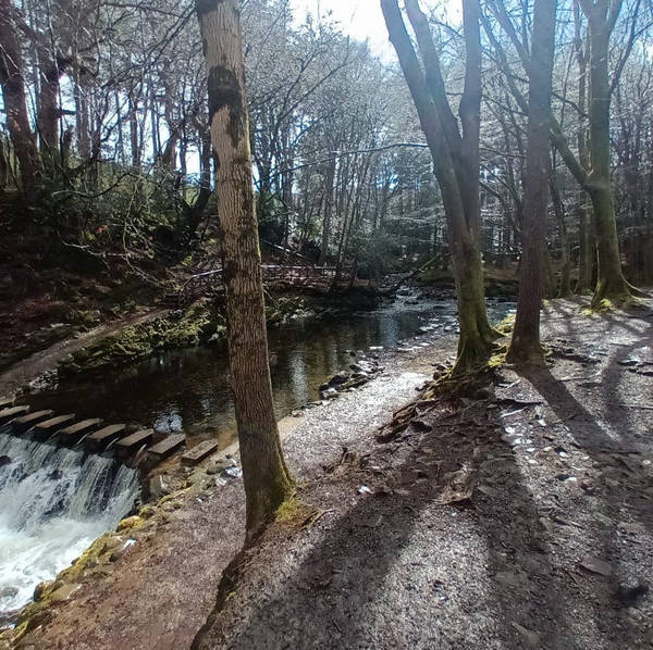 Sound Escape 134: Pure clear water tumbles over a waterfall in a Irish fairy glen
