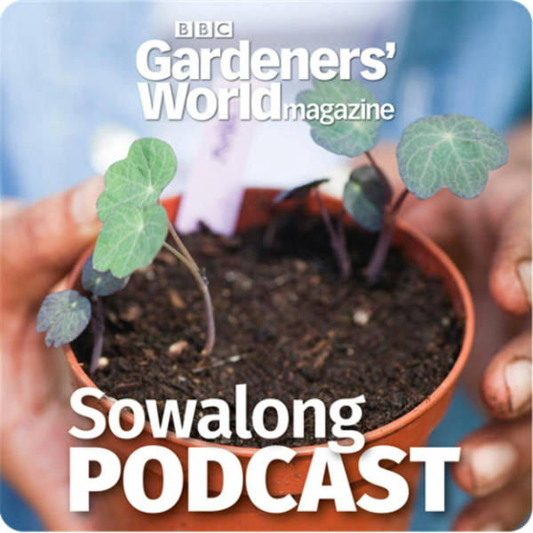 Sowalong: Cosmos with Dame Prue Leith