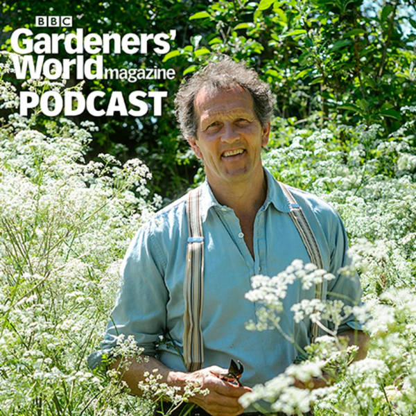 Summer on the veg plot – with Monty Don