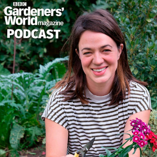 New ways to garden - with Frances Tophill