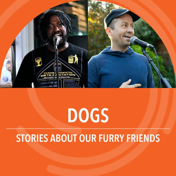 Dogs: Stories about our furry friends