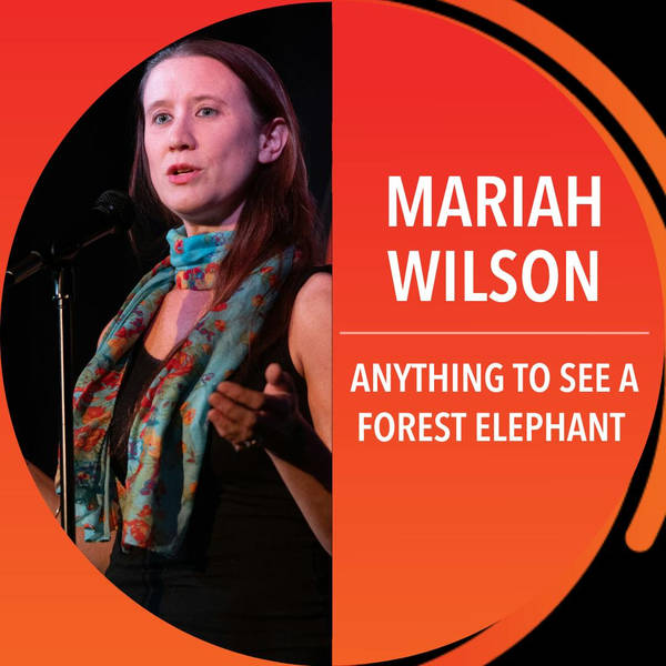 Mariah Wilson: Anything To See A Forest Elephant