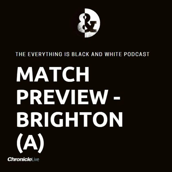 Brighton preview: How to beat the Seagulls, and how would Graham Potter react to an approach from Newcastle's owners...