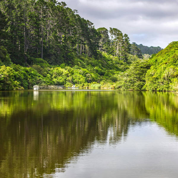 188: Plodcast Special!  Explore the wildlife paradise of Zealandia in New Zealand